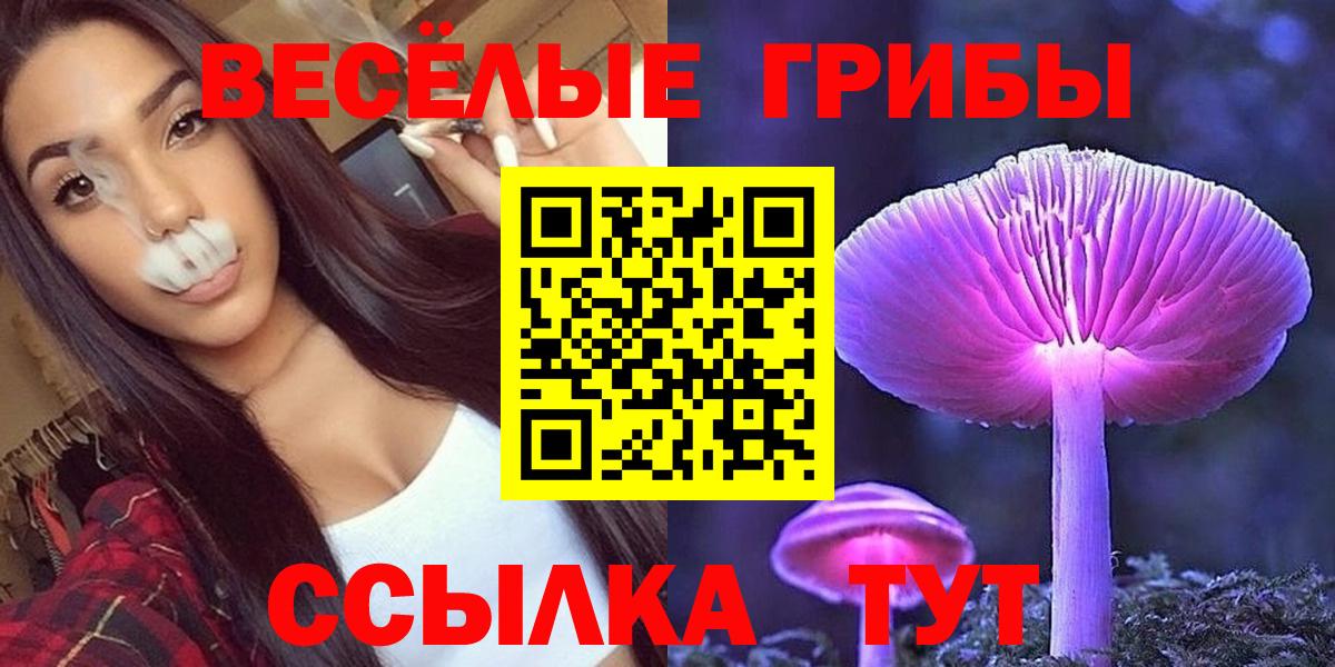 Галлюциногенные грибы GOLDEN TEACHER Геленджик